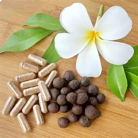 Herbal Supplements