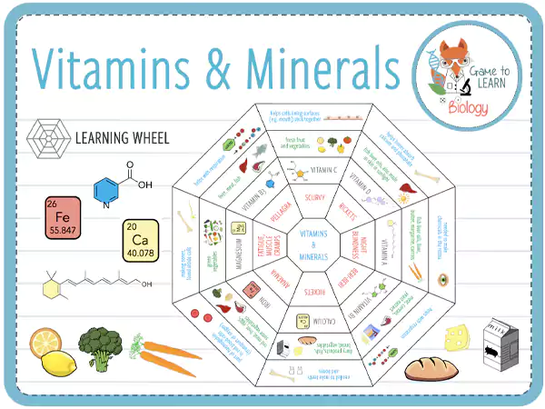 Vitamins and Minerals