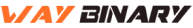 waybinary logo