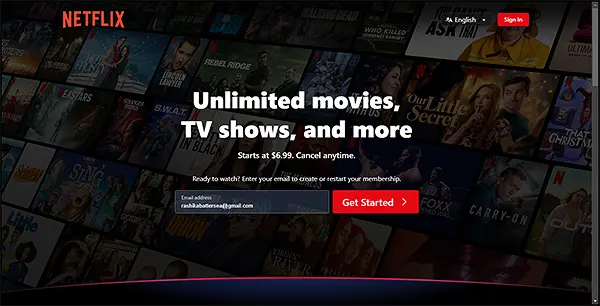 Netflix Site